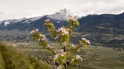 Suedtirol_04_2023-54